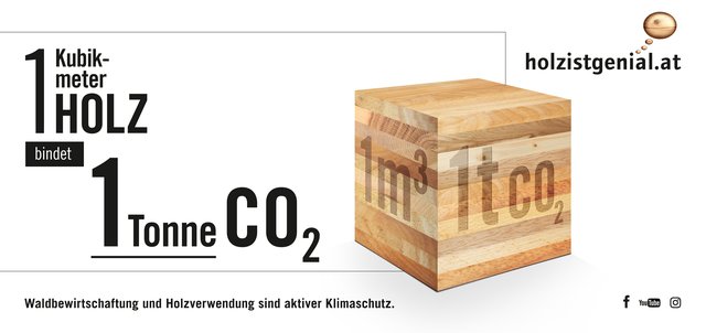 Ein Kubikmeter Holz kann 1.000 Kilo des Teibhausgases Kohlendioxyd binden. | Foto: holzistgenial.at