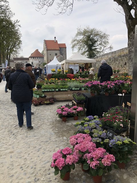 Viele Pflanzen und Blumen wurden bei der Gartenlust Burghausen gezeigt. 