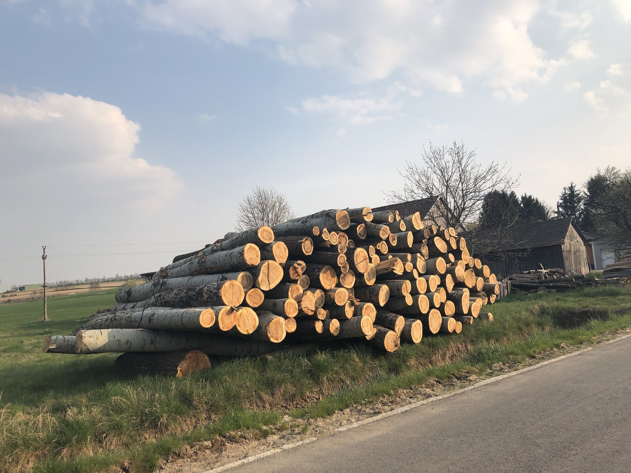 NÖ Holzwirtschaft In einem Kubikmeter Holz ist eine Tonne CO2 gespeichert Hollabrunn