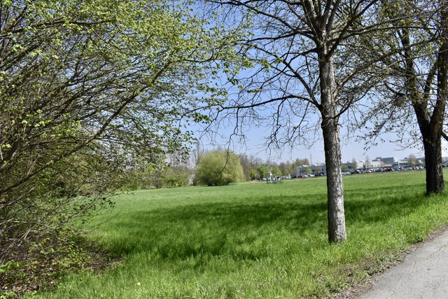 Die gesamte Wiese gegenüber des Deutschlandsberger Wirtschaftshofs wird zur Insektenschutzfläche.