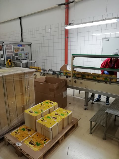 Hier werden die köstlichen, verpackten  Bananen bereits auf die Palette geschlichtet. | Foto: Werner Achs