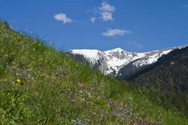 schneeberg im frühling