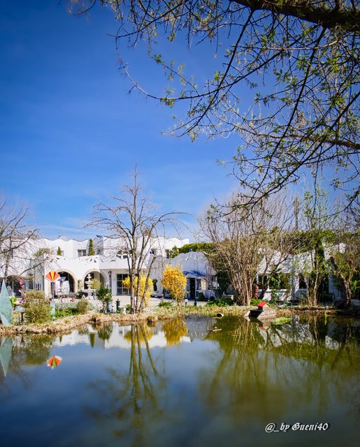 .........auch draussen gibs sehr viel zu sehen.....