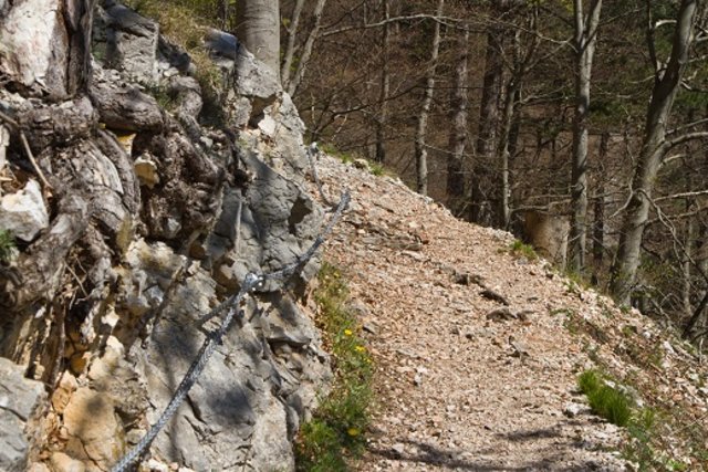 am steig