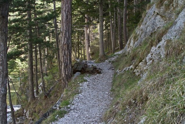 am weg