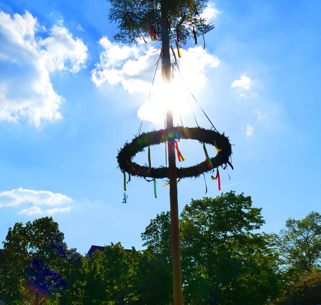 Maibaum Aufstellen. Ein gern gepflegter Brauch in Siegersdorf.