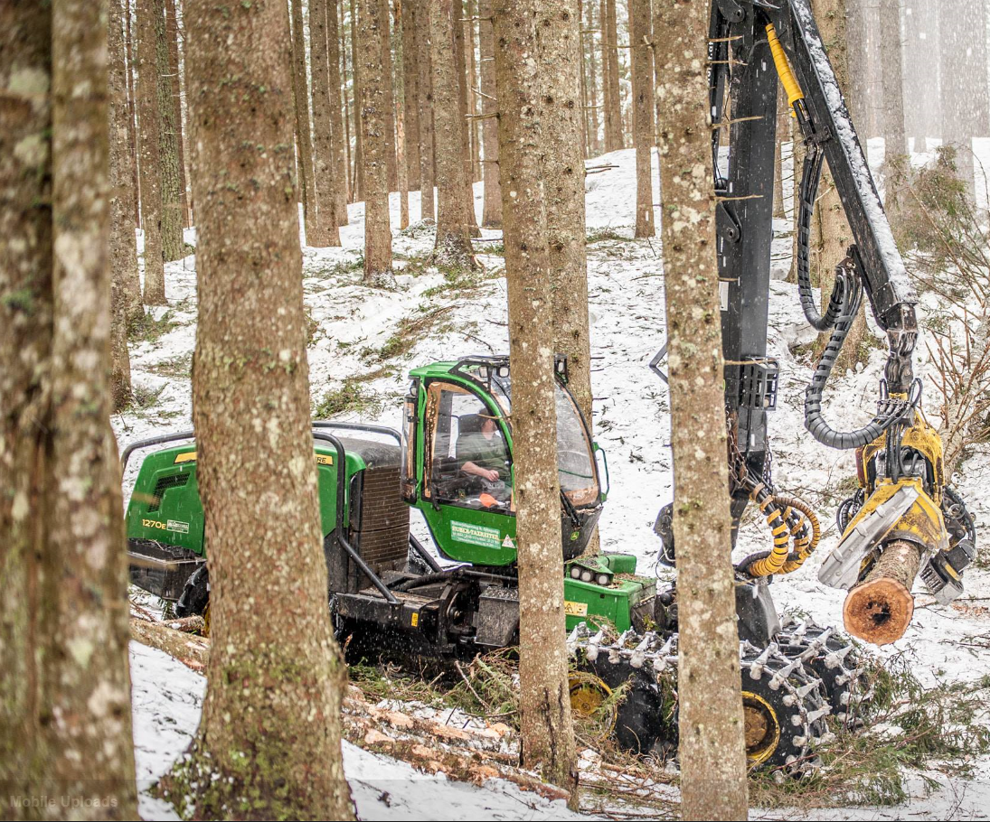 Holz sichert Arbeitsplätze: Rund 300.000 Menschen beziehen in Österreich ihr Einkommen aus der Holz- und Forstwirtschaft.