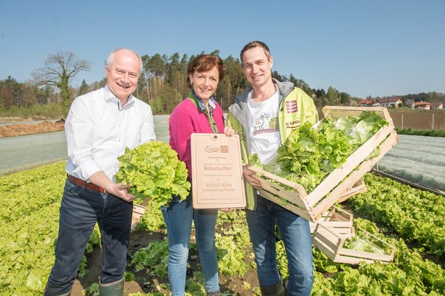Ernte: J. Seitinger, M. Pein und M. Hillebrand (v.l.) | Foto: Foto Fischer