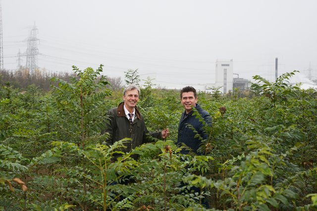 Projektleiter Thomas Geburek erläuterte  Peter Eisenschenk bei einem Besuch des Versuchsgartens von „Esche in Not“ im Herbst 2018 den Ablauf des Versuches. | Foto: Stadtgemeinde Tulln