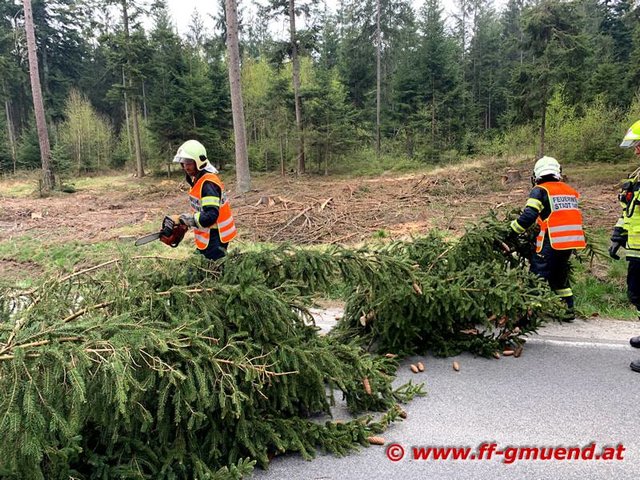 Foto: www.ff-gmuend.at