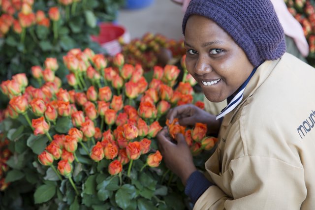 Mit dem Erlös des Rosenverkaufs werden die Angestellten auf Rosenfarmen in Afrika unterstützt.