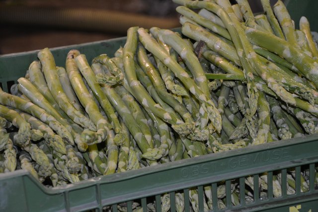 Spargel entwässert und entgiftet und soll auch die Libido ein bisschen anfachen.  | Foto: Foto: Titz