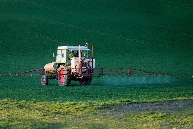 Der Einsatz von Glyphosat ist sehr umstritten. Der Unkrautvernichter soll hochgradig krebserregend sein.