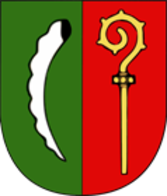 In St. Johann wird am 7. Juli gewählt. | Foto: Gemeinde