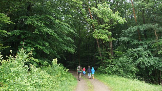 Die Wienerwaldgemeinde Wolfsgraben forciert mit der Stadtgemeinde Pressbaum neue "tut-gut!"-Wanderrouten.