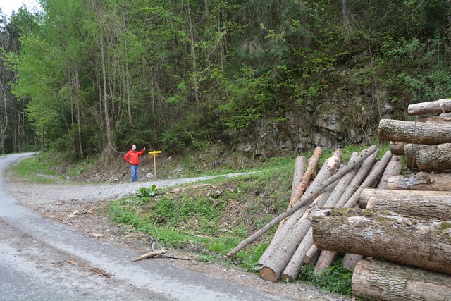 "Hier geht's lang": Nach dem Start bei der Schindlhütte geht's über die asphaltierte Kerschbaumstraße bis zur Abzweigung Forststraße Kaltenberg und weiter zur Ötscher-Tropfsteinhöhle.