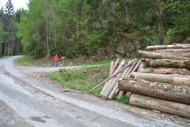 "Hier geht's lang": Nach dem Start bei der Schindlhütte geht's über die asphaltierte Kerschbaumstraße bis zur Abzweigung Forststraße Kaltenberg und weiter zur Ötscher-Tropfsteinhöhle.