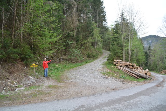 "Hier geht's lang": Nach dem Start bei der Schindlhütte geht's über die asphaltierte Kerschbaumstraße bis zur Abzweigung Forststraße Kaltenberg und weiter zur Ötscher-Tropfsteinhöhle.