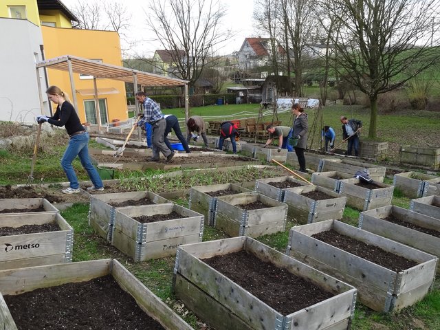 Gemeinsame Arbeit, gemeinsamer Genuss : Der Gemeinschaftsgarten Nettingsdorf. | Foto: Stadtgemeinde Ansfelden