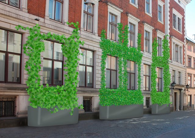 Fassadenbegrünung ist nicht nur schön anzusehen, sondern auch positiv für den Klimaschutz. | Foto: tatwort/Jakob Hubmann