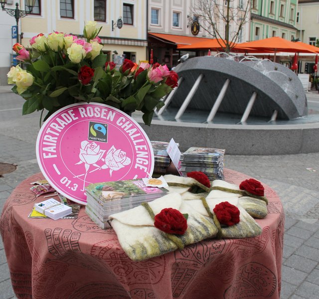 Foto: Stadtgemeinde Enns