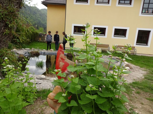 Der eigene Schul-Biotop