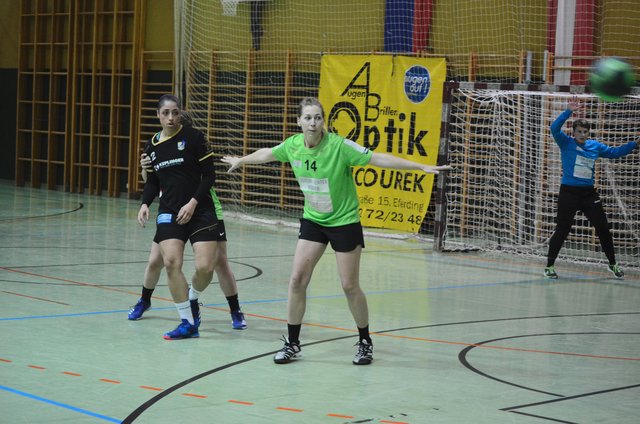 Kerstin Koch in der Abwehr, Stephy Eckerstorfer im Tor | Foto: Handballclub Eferding