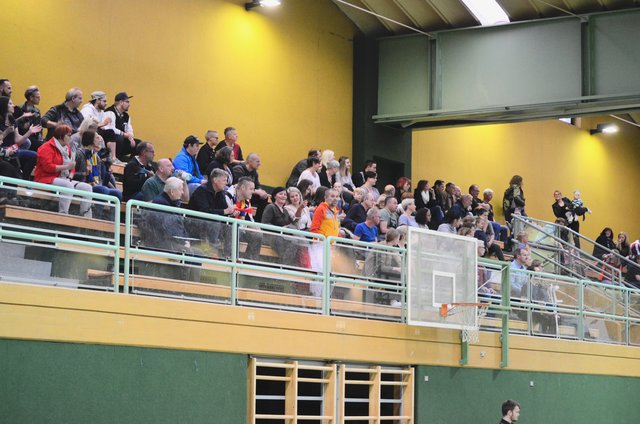 Viele Zuschauer unterstützten die Eferdinger Damen | Foto: Handballclub Eferding