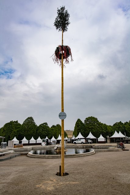 Der maibaum steht. Das Fest kann beginnen. | Foto: Bundesforste