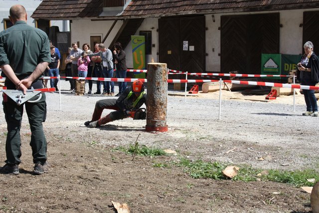 Fallkerb- und Fällschnitt als Königsdisziplin | Foto: LJ/Wallner