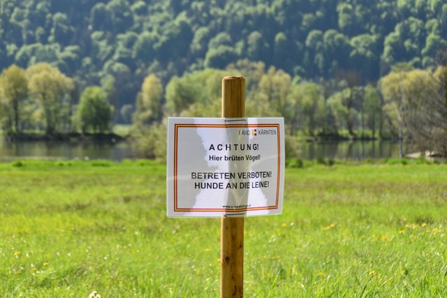 Die Hinweis-Schilder im Natura 2000 Gebiet sollten ernst genommen werden: Es herrscht allgemeines Betretungsverbot | Foto: Friessnegg