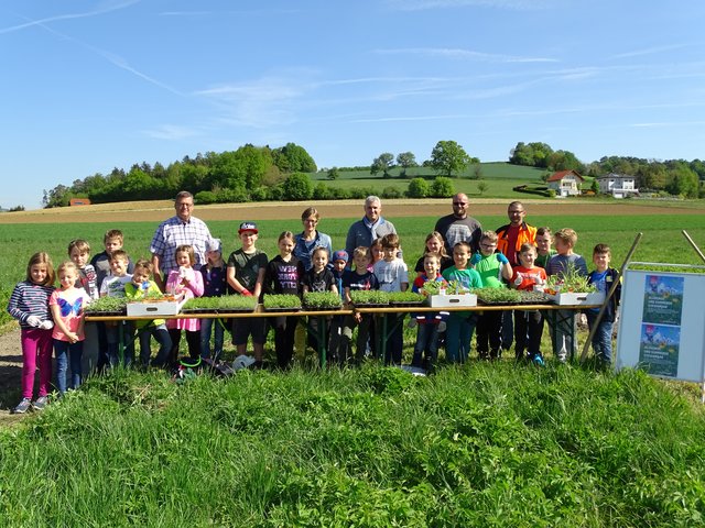 Aktuelles Kurse und Vortrge Blutspendetermine Gemeinde Brgermeister Gemeinderat Vorstand Mitarbeiter Gemeindedaten Gemeindewappen Nachmittagsbetreuung - Gemeinde Buch St. Magdalena