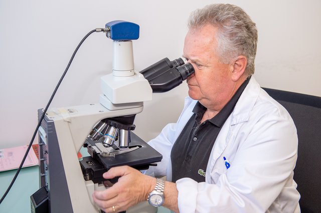 Genauigkeit zählt: Institutsleiter Gerald Höfler am Mikroskop. | Foto: Foto Jörgler