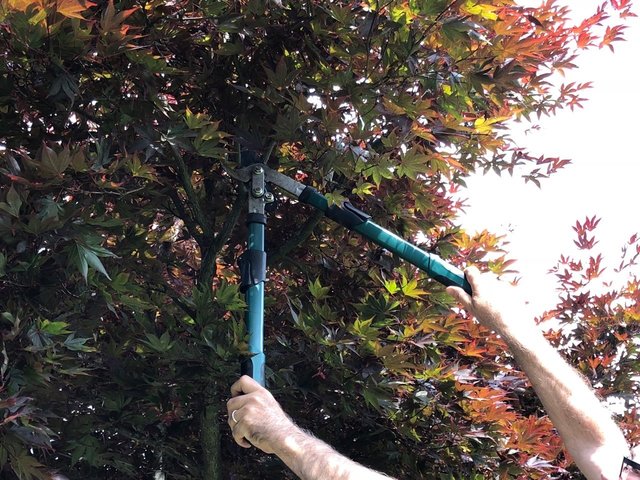 Grünschnitt wird in gemeinsamer Anlage verwertet | Foto: Lehner