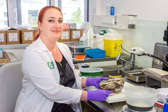 Detailliert: Marlene Leoni untersucht ein Herz. | Foto: Foto Jörgler