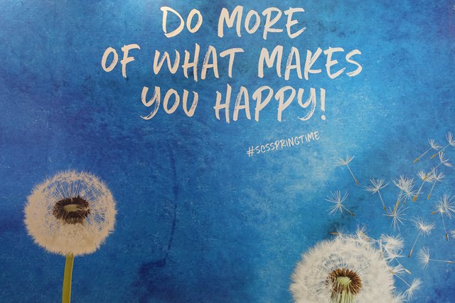 &gt; SCS Springtime &lt;