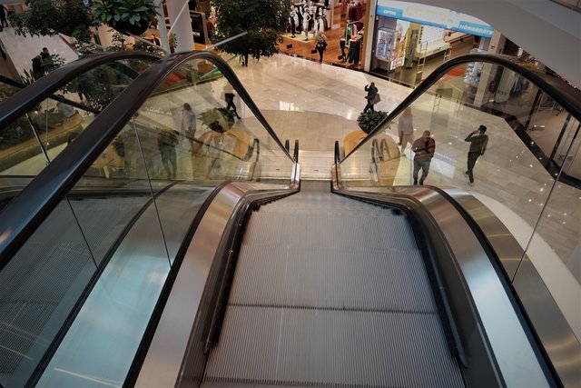 ... geht's zur nächsten Fotosession, ganz spezielle Fotomodelle erwarten uns bereits!