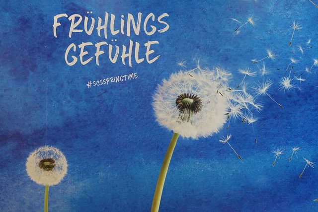 Beim Eingang zum SCS-Hauptgebäude ...