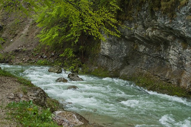 die Erlauf bei Eibenboden | Foto: ©christine barth, flussnomadin