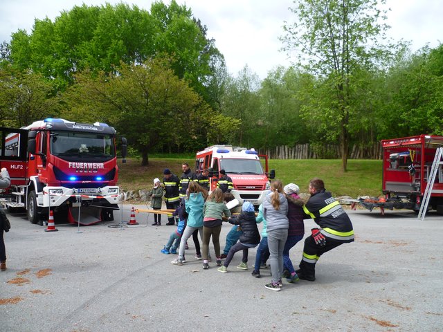 Volle Einsatzkraft gefragt beim Ziehen an der Seilwinde | Foto: Martina Eisner
