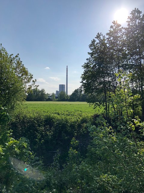 Natur existiert hier neben Industrie und bietet zahlreichen Tier- und Pfanzenarten den benötigten Lebensraum. | Foto: BRS