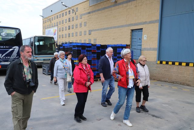 Die Provinz Huelva ist der wichtigste spanische Produzent und Exporteur von Erdbeeren, Himbeeren und Heidelbeeren, eine der vielen Plantagen mit der Verarbeitungshalle wurde besucht. 