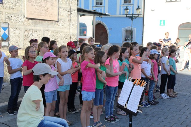 Gemeinsam Singen in Enns.