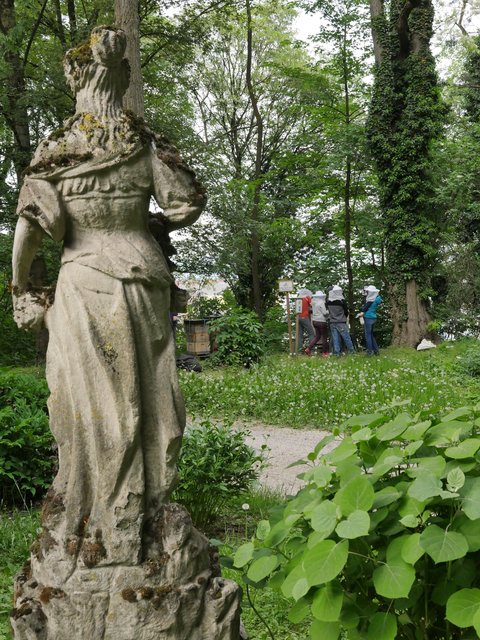 Der Park ist ein Naturparadies für Wildbienen. | Foto: Linzer Biene
