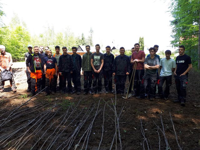 Die Schüler der LFS Stainz leisteten wichtige Aufforstungsarbeit.  | Foto: LFS Stainz