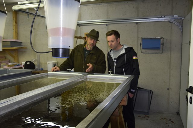 Fischermeister Roland Klier zeigt WOCHE-Geschäftsstellenleiter Marc Hollinger die mit etwa 20.000 Fischen befüllten Becken.