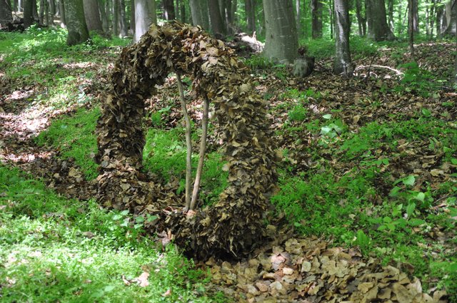Foto: WOCHE
