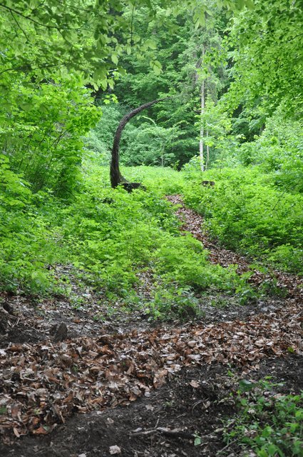 Foto: WOCHE