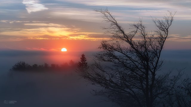 Nebelland | Ein stiller Morgen auf den Hügeln des Rosaliengebirges. Das sanfte Sonnenlicht trifft auf die umherziehende Nebeldecke die sich über das gesamte Gebiet erstreckt. Umherziehende Nebelschwaden tauchen die burgenländische Landschaft in eine mystische Szenerie an diesem Morgen im November.
