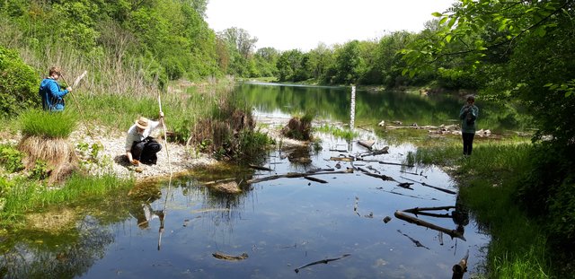 Natur hautnah erleben | Foto: Anna Kampl